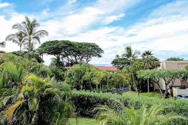 Tropical resort grounds feature mature trees colorful gardens and pathways