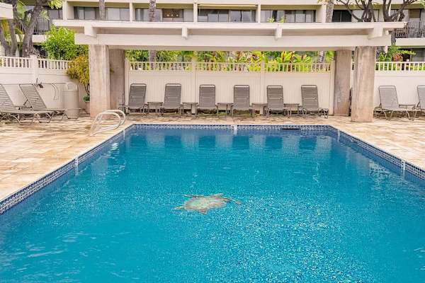 Resort Pool Perfect For Sunny Days