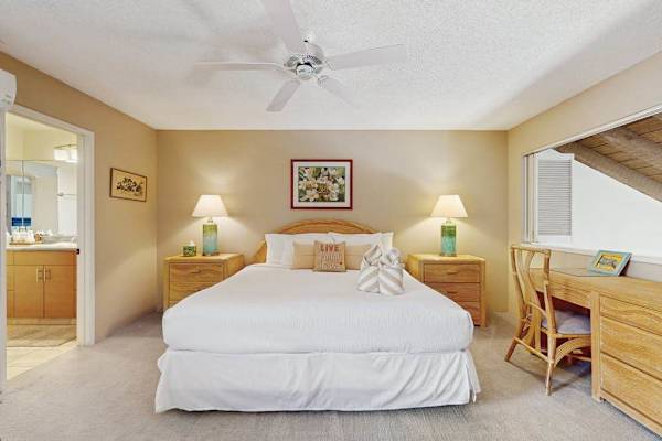Centers king bedding beneath vaulted ceilings and sunlight