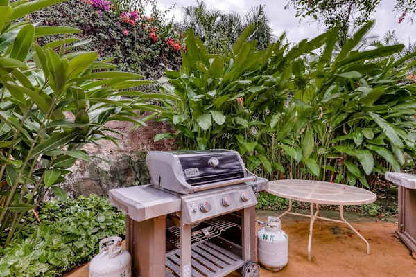 Garden Barbecue Gathering Spot