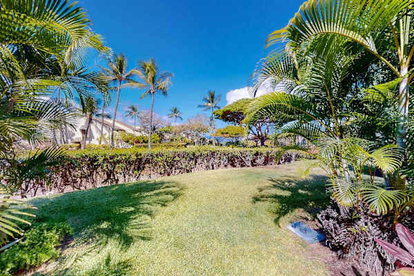 Lush Tropical Garden Escape