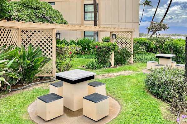 Private Garden Courtyard Escape