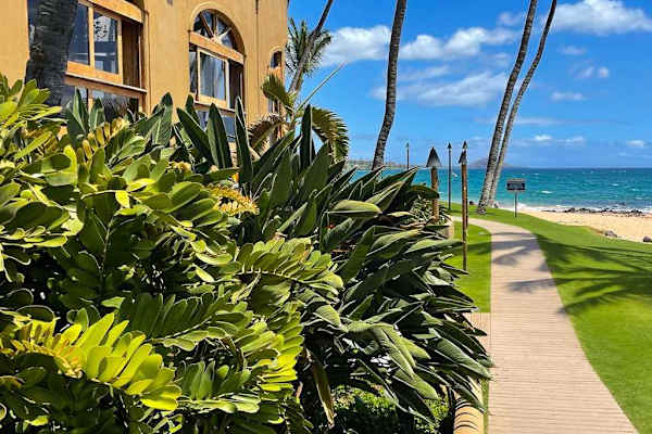 Oceanfront Comfort Awaits