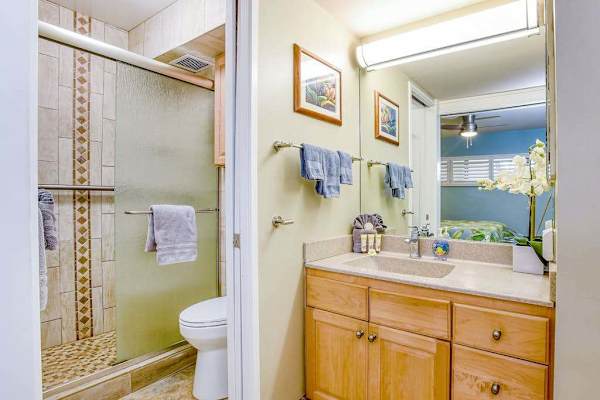 Newly remodeled bathroom with walk-in shower.