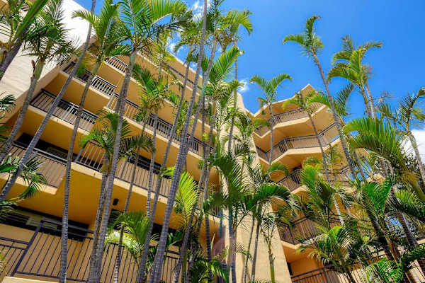 Tropical Architecture Surrounded By Vibrant Island Palms