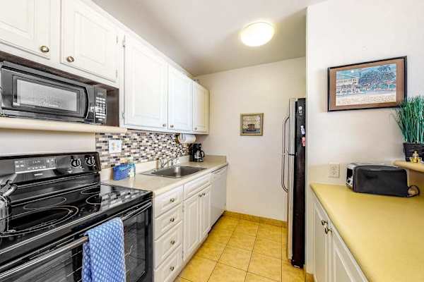 Streamlined corridor kitchen 