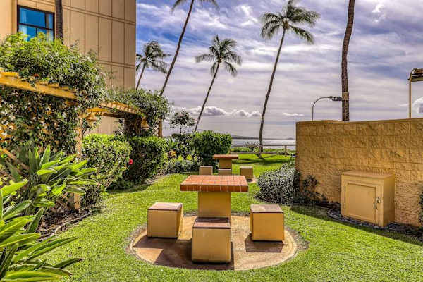 Garden Gathering Spot Under Palms