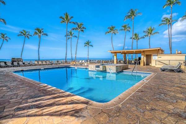 Sparkling Resort Pool Beneath Swaying Palms