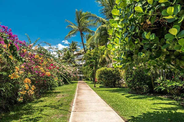 Peaceful Garden Path Through Paradise