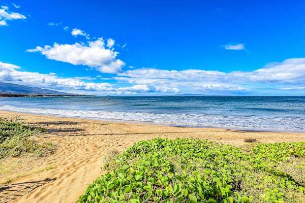 Stroll on the white sandy beaches, under the swaying palm trees while the waves crash over your feet.