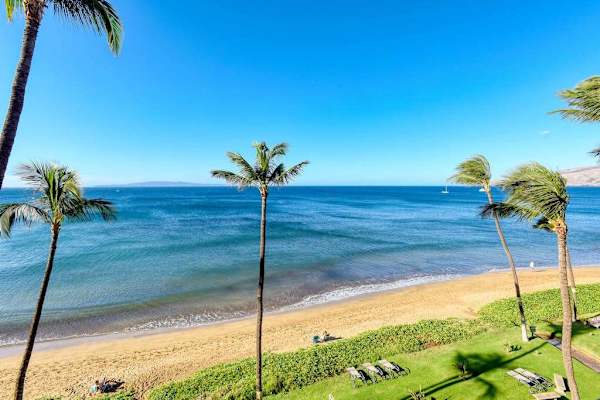 Palm Framed Beachfront Paradise