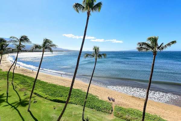 Ocean Breezes And Swaying Palms