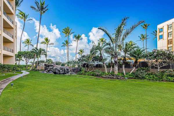 Lush Tropical Garden Escape