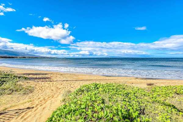 Step onto the soft sands of Sugar Beach, where miles of golden shoreline, gentle waves, and breathtaking ocean views create the perfect Maui beach experience.