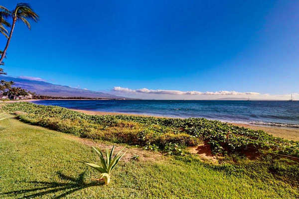 
Step onto the soft sands of Sugar Beach, where miles of golden shoreline, gentle waves, and breathtaking ocean views create the perfect Maui beach experience.