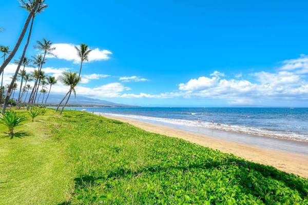 Step onto the soft sands of Sugar Beach, where miles of golden shoreline, gentle waves, and breathtaking ocean views create the perfect Maui beach experience.