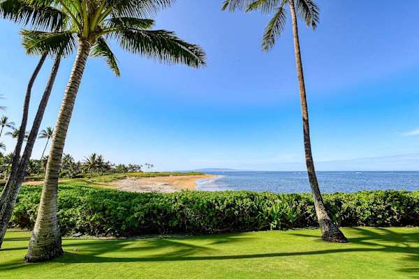 Relax on pristine white sandy beaches beneath swaying palm trees and gentle ocean breezes.