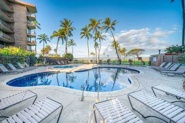 Resort Swimming Pool Deck & Palm Trees