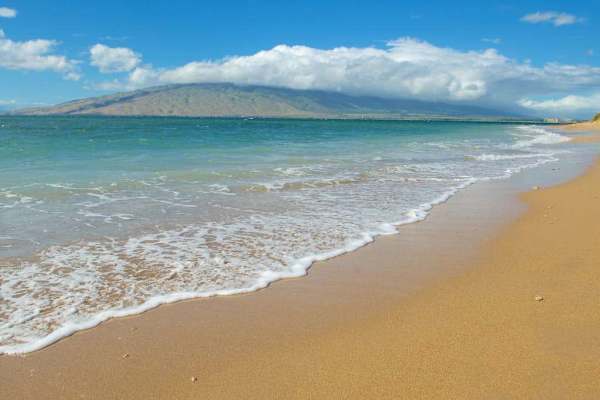 Scenic Sandy Beach & Ocean View