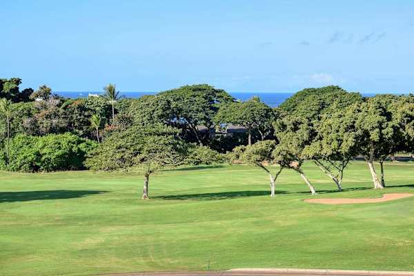 Lush Fairway Views