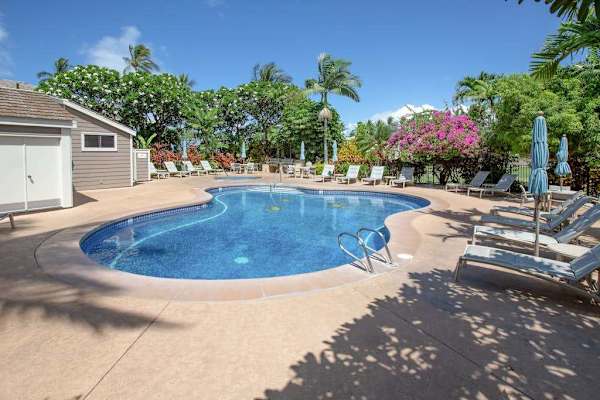 Sparkling Resort Pool Under Sunny Skies