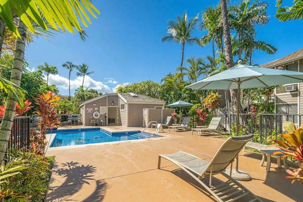 Tropical Pool Oasis With Lounge Chairs