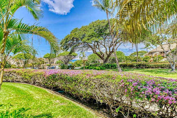 Beautiful tropical gardens surround the property