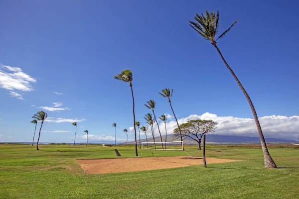 Lush Oceanfront Park For Daily Strolls