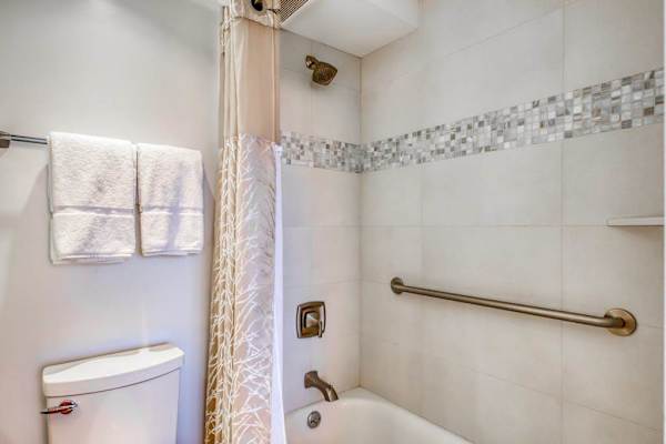 Accessible shower with grab bars