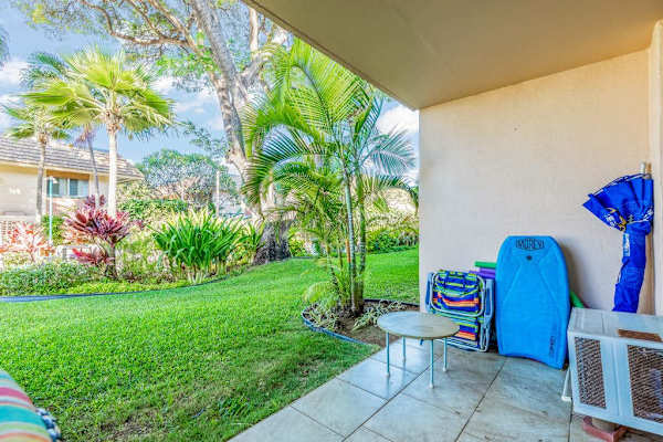 Covered Patio Surrounded By Tropical Greenery