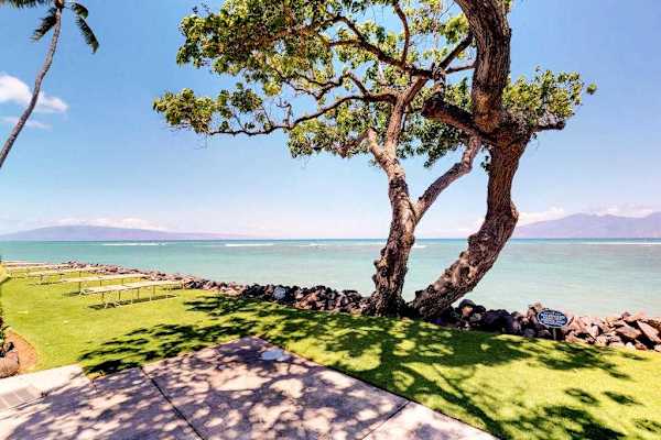 Shaded Coastal Escape With Stunning Water Views