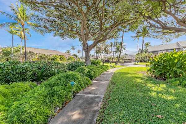 Verdant island surroundings showcase leafy gardens sunlit trails and beauty