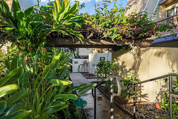 Tropical walkway winds through lush gardens toward inviting island amenities
