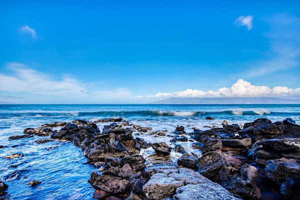 Discover the beauty of the lava rock shoreline