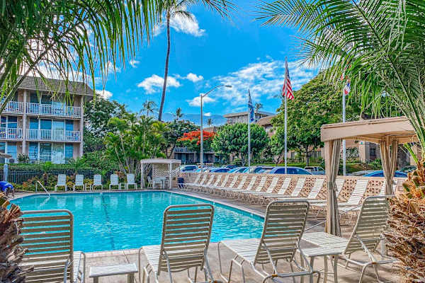 Resort Pool Surrounded By Palm Trees