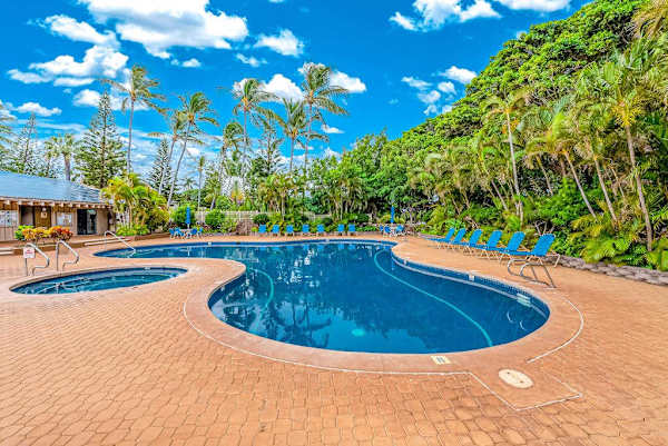 Resort swimming pool surrounded by tropical palms and sunny seating