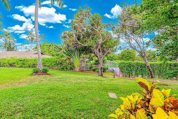 Sunny resort lawn features tropical trees colorful plants and greenery