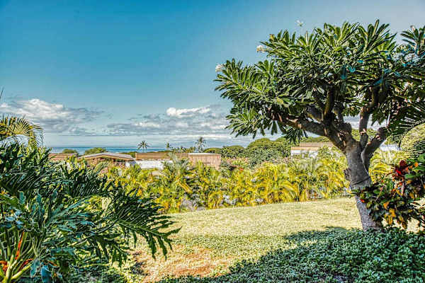 Scenic Ocean and Landscape View Framed by Tropical Foliage and Trees