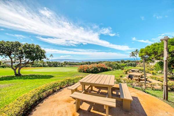 Community Picnic and BBQ Area with Wooden Benches and Scenic Ocean Views