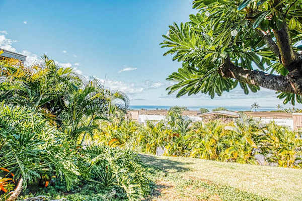Elevated Ocean View Overlooking Tropical Palms and Resort Grounds