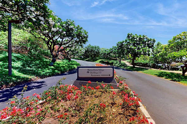 Paved Resort Driveway and Entrance Signage Framed by Flowering Trees