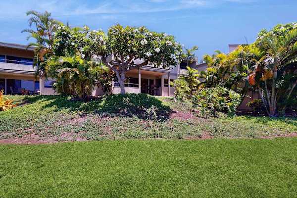 Exterior View of Resort Buildings Surrounded by Lush Green Lawns and Tropical Plants