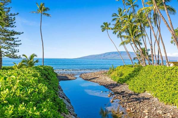 Admire breathtaking ocean views framed by lush tropical landscaping.