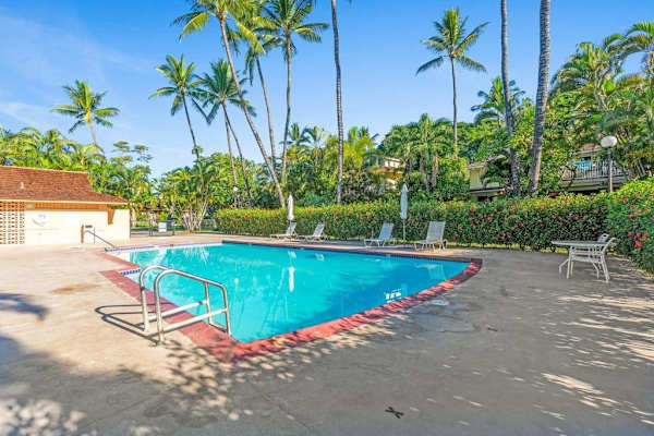 Take a refreshing dip in the resort pool surrounded by swaying palm trees.