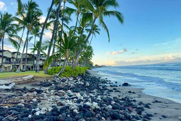 Explore Maui's scenic coastline.