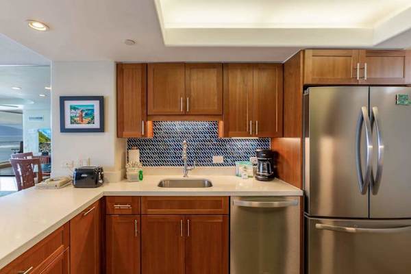 Fully Equipped Gourmet Kitchen