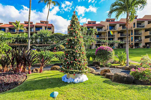 Feel the holiday spirit in this beautifully decorated tropical resort courtyard 