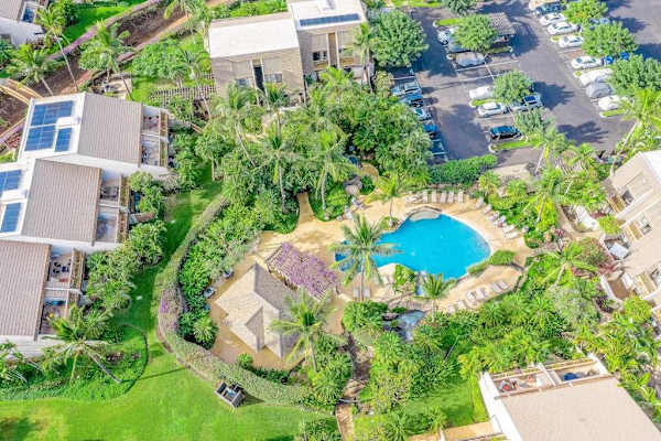 Resort Pool From Above
