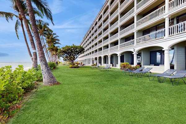 Lush Oceanfront Lawn For Peaceful Strolls