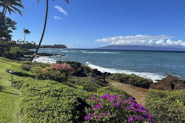Oceanfront Paradise With Stunning Coastal Views